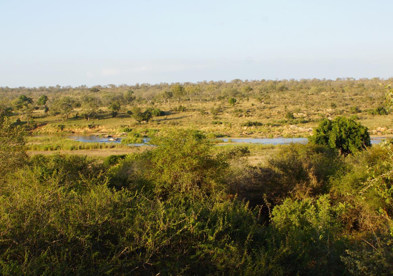 Villa Marloth Park Hippo House Extérieur photo