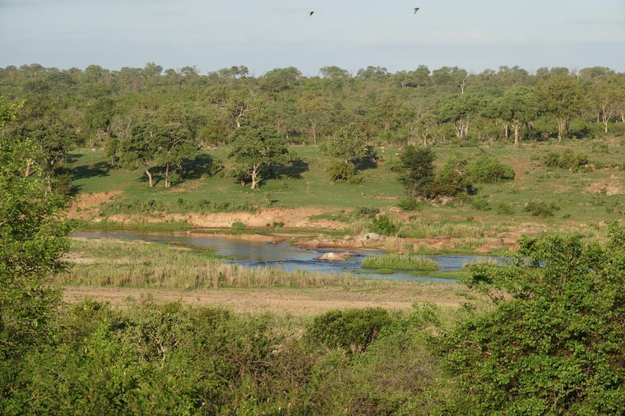 Villa Marloth Park Hippo House Extérieur photo